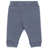 Grigio