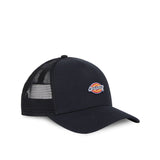 Dickies Cappello DK0A4YV3BLK1